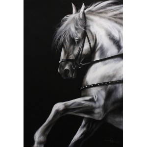 Irfan Ahmed, 24 x 36 Inch, Oil on Canvas, Horse Painting, AC-IRA-029